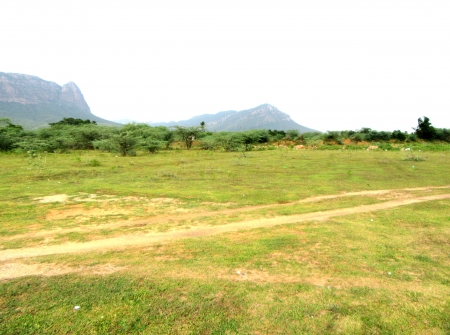 4.25 Acres Agricultural Land for Sale in Narayanavanam Near Puttur, Tirupati